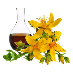 St. John's Wort Oil - 1